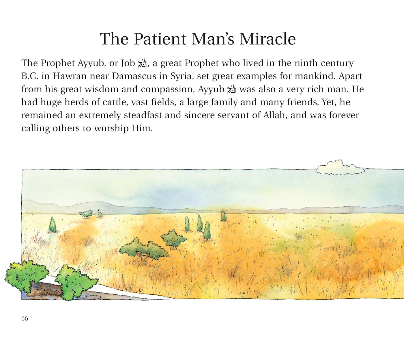 GOODNIGHT STORIES FROM THE QURAN