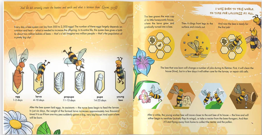 The Bee is Allah's Amazing Creation