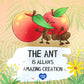 The Ant is Allah's Amazing Creation