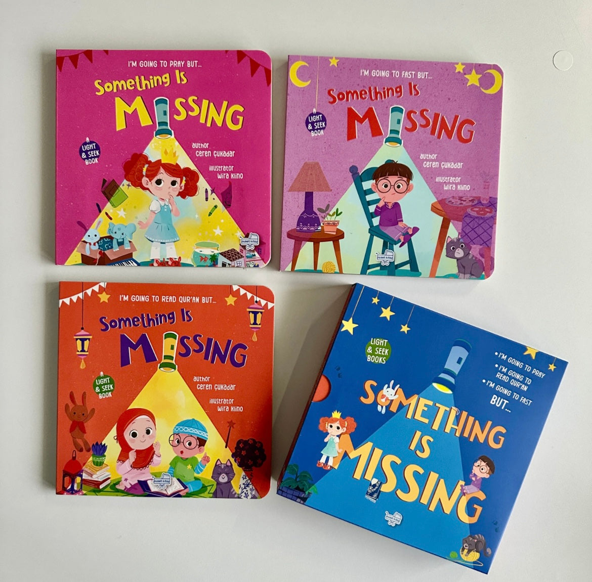Something Is Missing – Light & Seek Board Book Set